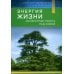 Энергия жизни. Осознанная работа над собой