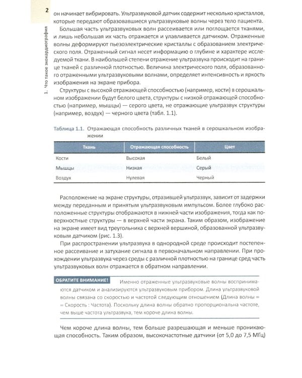 ЭхоКГ понятным языком; Кардиология: профессиональные секреты (комплект из 2-х книг)