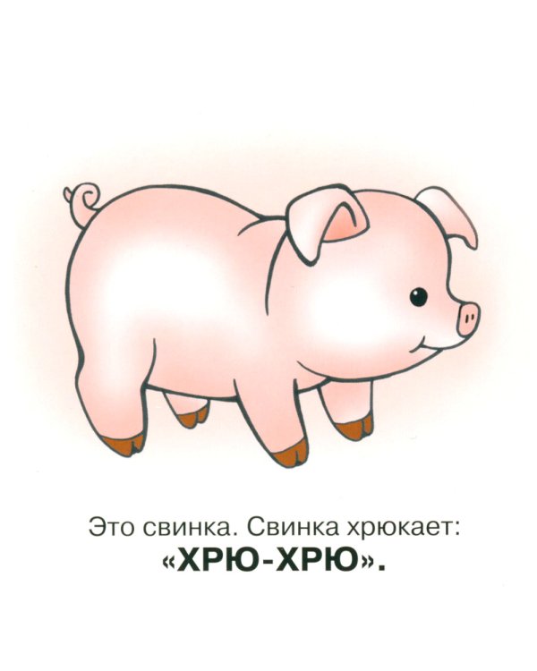 Понятные книжки 0+ (комплект 5-ти кн. + инструкция)