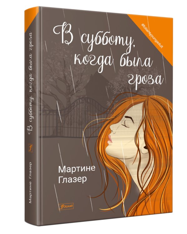 В субботу, когда была гроза: роман