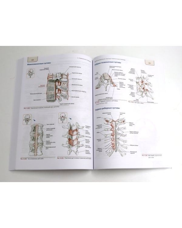 Путеводитель по телу. Клинический атлас триггерных точек; Практическое руководство по пальпации тела (комплект из 2-х книг)