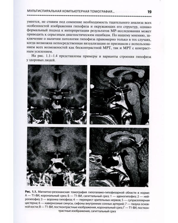 Основы клинической нейроэндокринологии