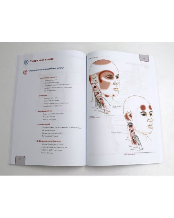 Путеводитель по телу. Клинический атлас триггерных точек; Практическое руководство по пальпации тела (комплект из 2-х книг)