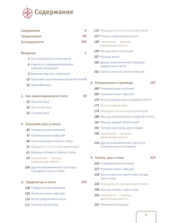 Путеводитель по телу. Клинический атлас триггерных точек; Практическое руководство по пальпации тела (комплект из 2-х книг)