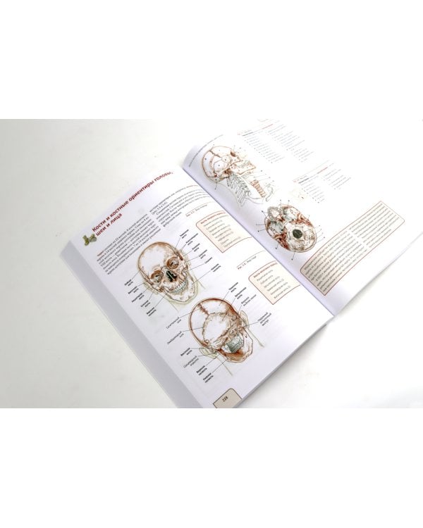 Путеводитель по телу. Клинический атлас триггерных точек; Практическое руководство по пальпации тела (комплект из 2-х книг)