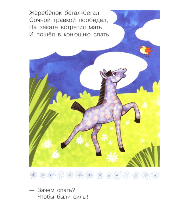 Зачем спать?