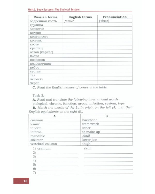 Английский язык. Базовый курс: Учебник