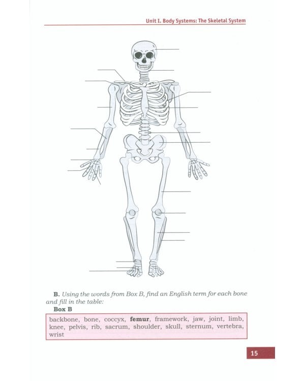 Английский язык. Базовый курс: Учебник