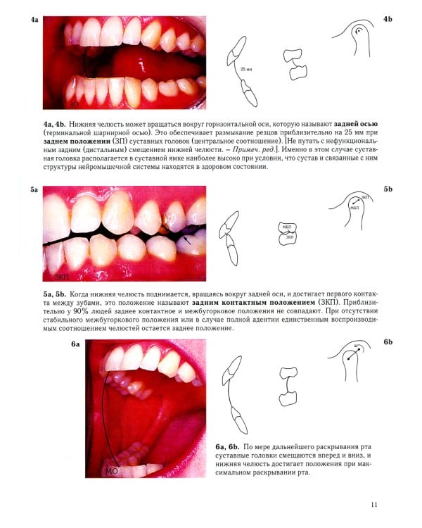 Окклюзия и патология окклюзии. Цветной атлас