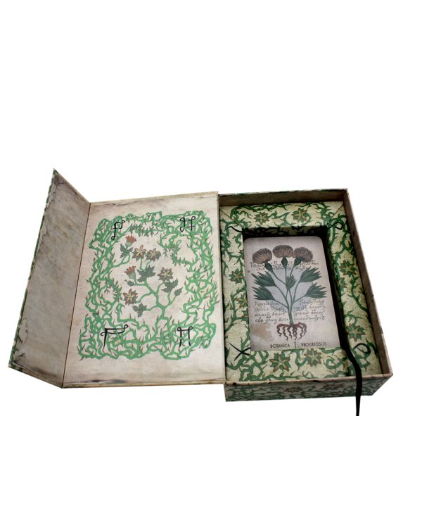 Оракул Войнича = Voinich Oracle. (54 карт + книга руководство. Арт: 41500.)