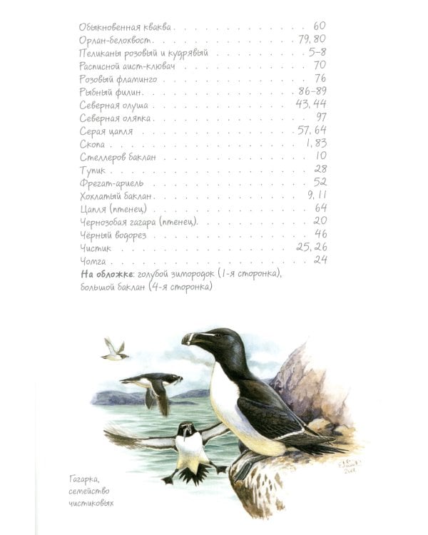 Птицы на кормушках; Птицы-рыболовы (комплект из 2-х книг)