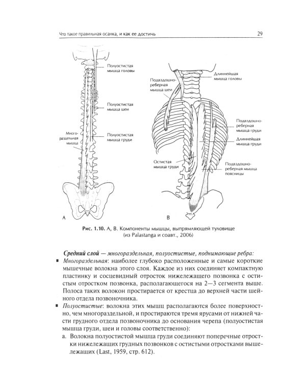 Система физических упражнений Пилатеса при дефектах осанки и последствиях заболеваний и травм