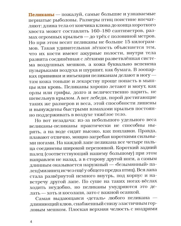 Птицы на кормушках; Птицы-рыболовы (комплект из 2-х книг)