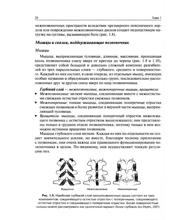 Система физических упражнений Пилатеса при дефектах осанки и последствиях заболеваний и травм