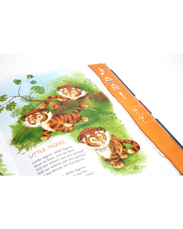 Английские песни для детей: 2 книги для говорящей ручки; Говорящая ручка (память 8Гб + аудиостикеры): Комплект