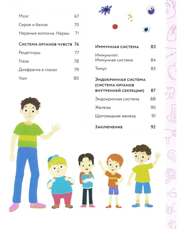 Анатомия для детей