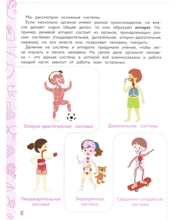 Анатомия для детей