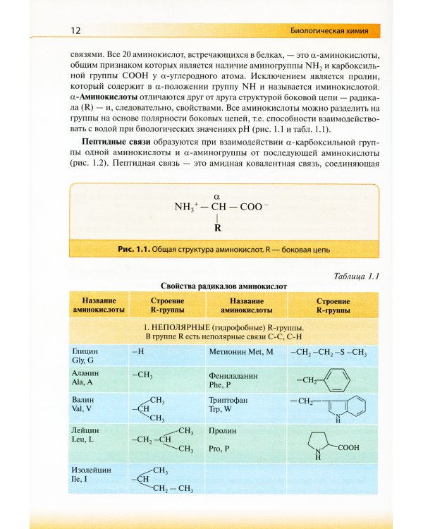 Биологическая химия: Учебник. 4-е изд., испр. и доп