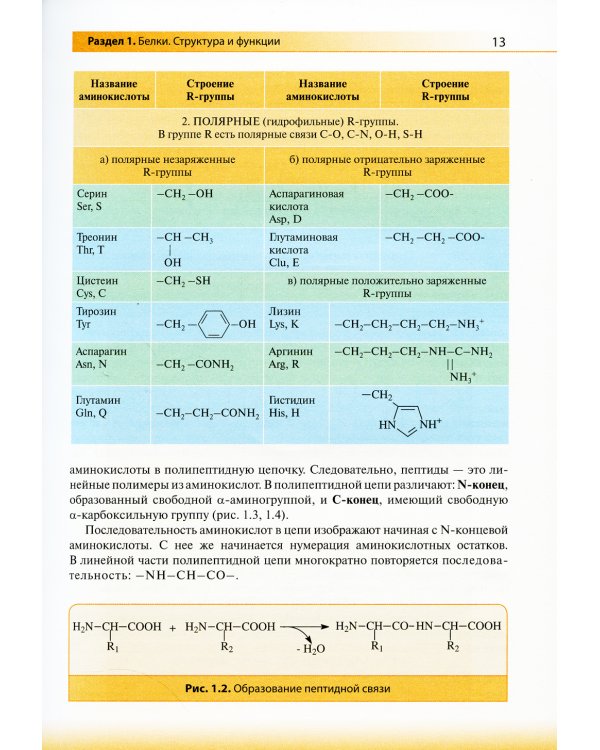 Биологическая химия: Учебник. 4-е изд., испр. и доп