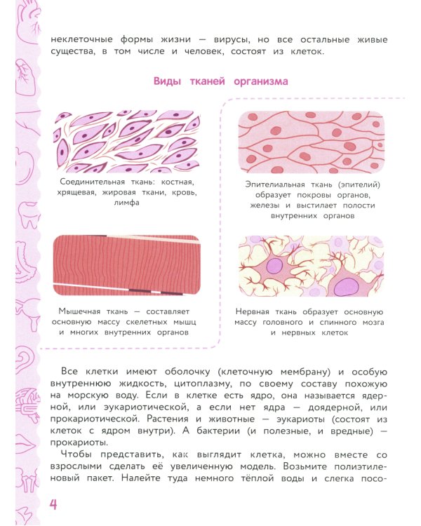 Анатомия для детей
