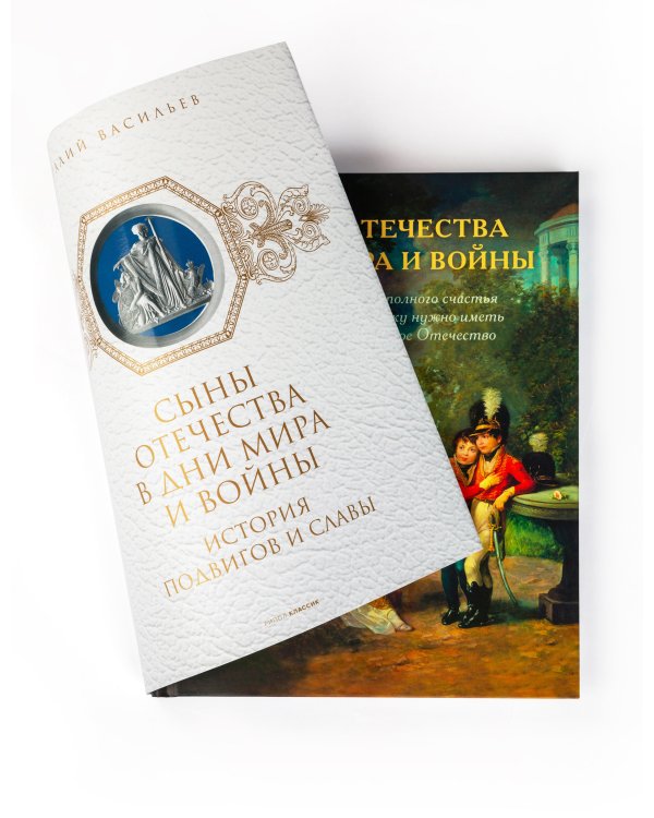 Сыны Отечества в дни мира и войны. История подвигов и славы. Кн. 2