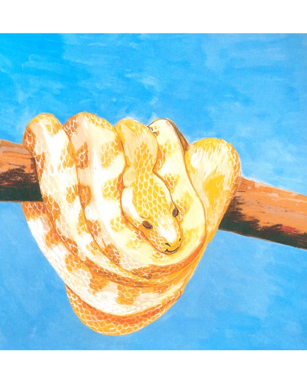 Как уложить питона спать: сказка