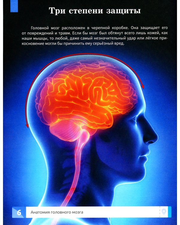 Мозг человека. Самая умная энциклопедия