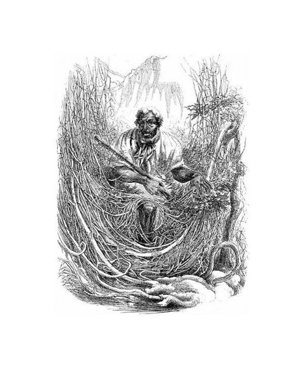 Дрэд, или повесть о проклятом болоте: роман