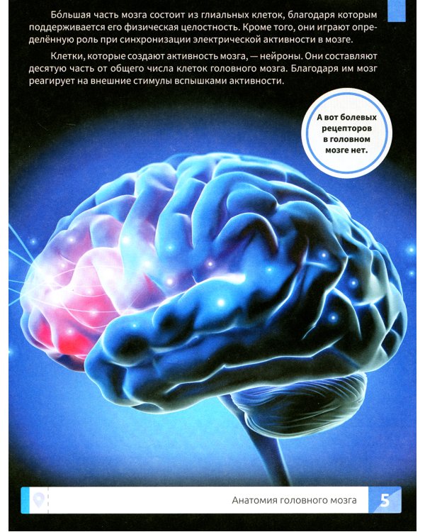 Мозг человека. Самая умная энциклопедия