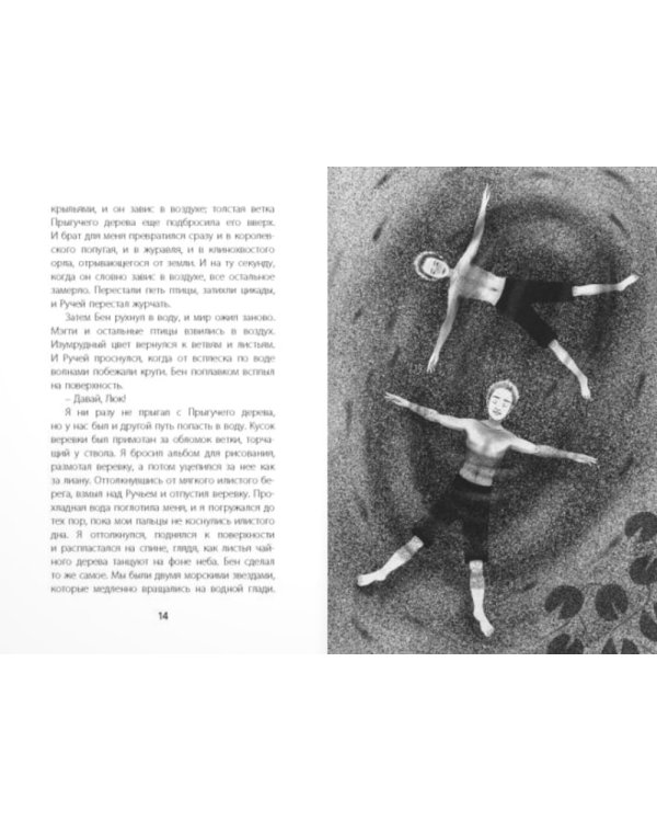 Птицы поют даже в хмурые дни