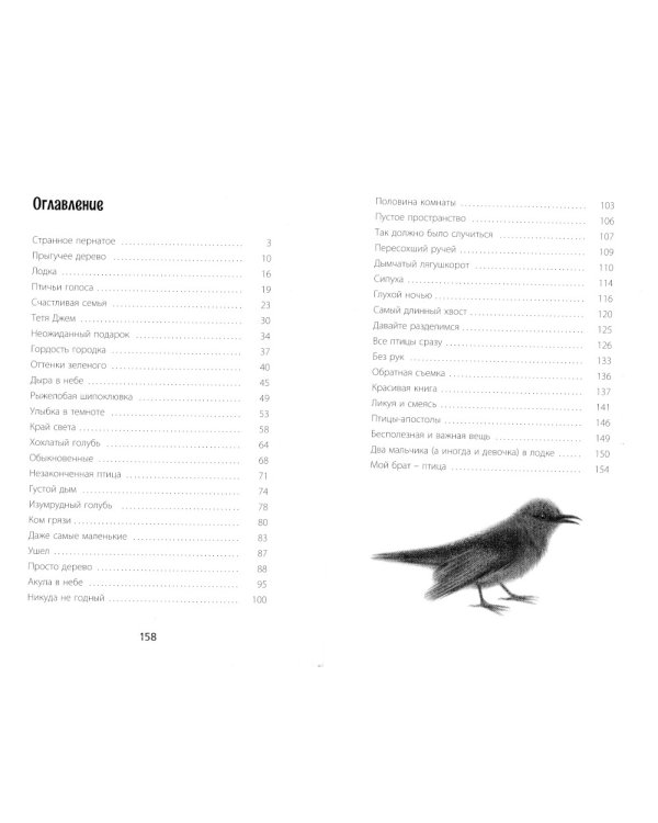 Птицы поют даже в хмурые дни