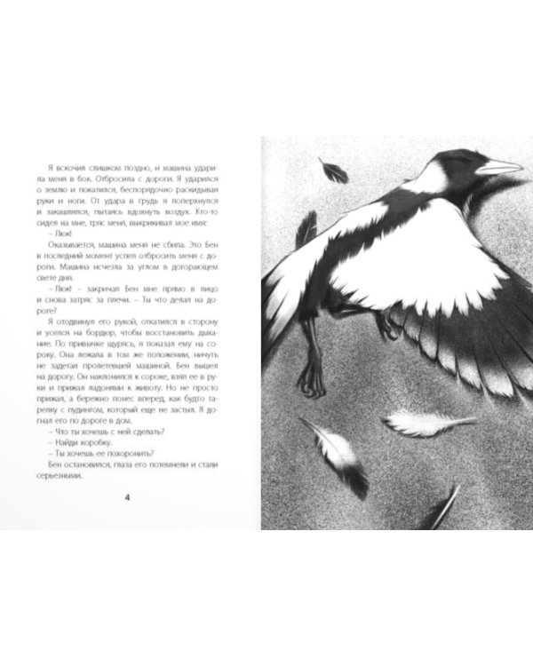 Птицы поют даже в хмурые дни