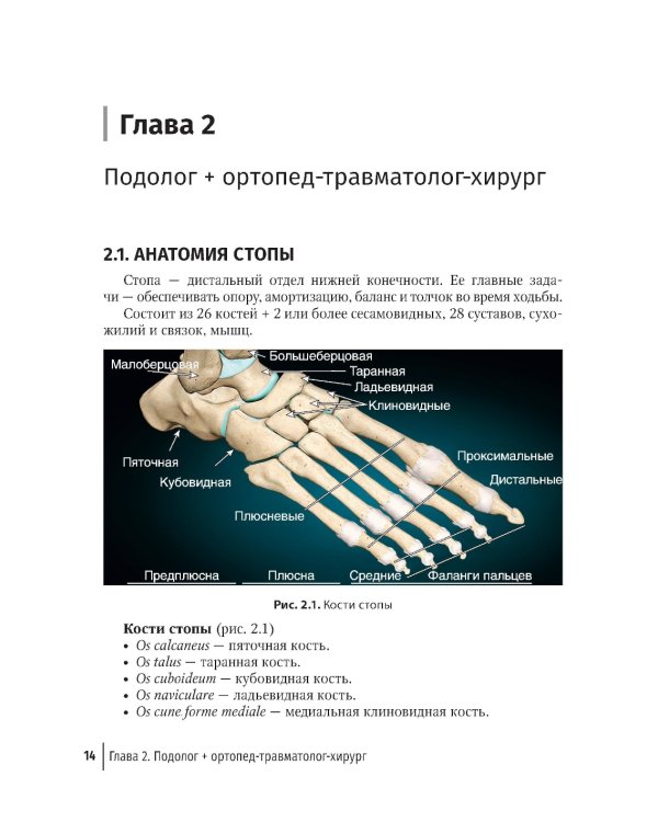 Подолог+: руководство для врачей