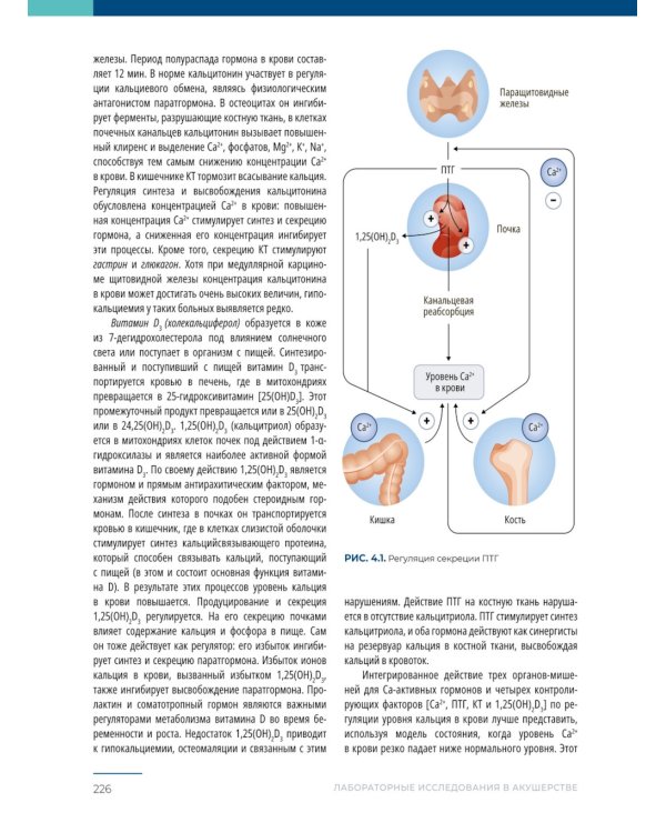 Лабораторные исследования в акушерстве: руководство