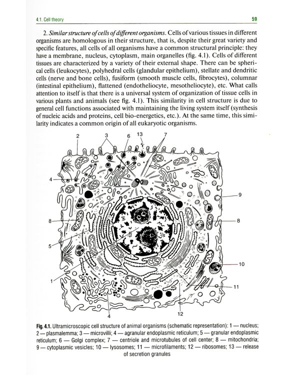 Histology, Embryology, Cytology = Гистология, эмбриология, цитология : textbook. (кн. на англ. яз.)