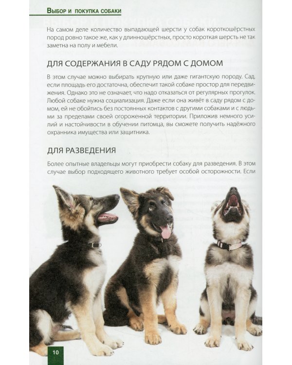 Как продлить жизнь вашей собаки