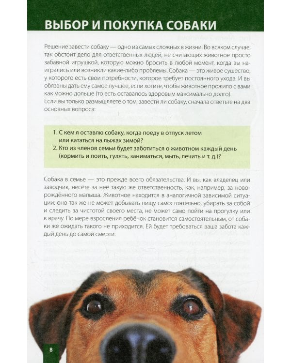 Как продлить жизнь вашей собаки