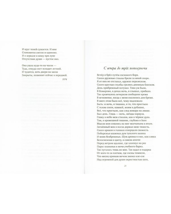 В среде пустот: стихотворения, поэмы