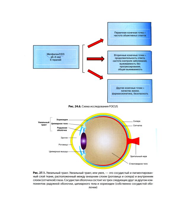 Регионарная терапия раковых заболеваний