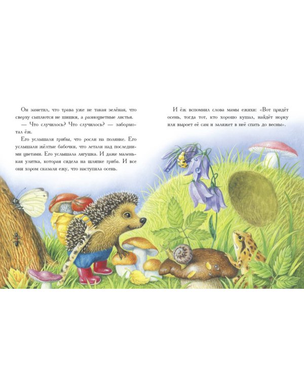 Сказки для сладких снов