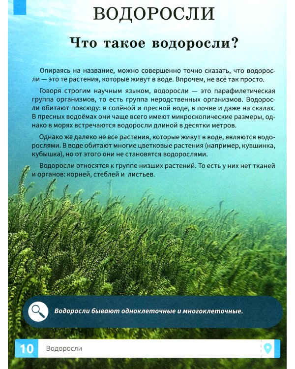 Растения. Самая умная энциклопедия