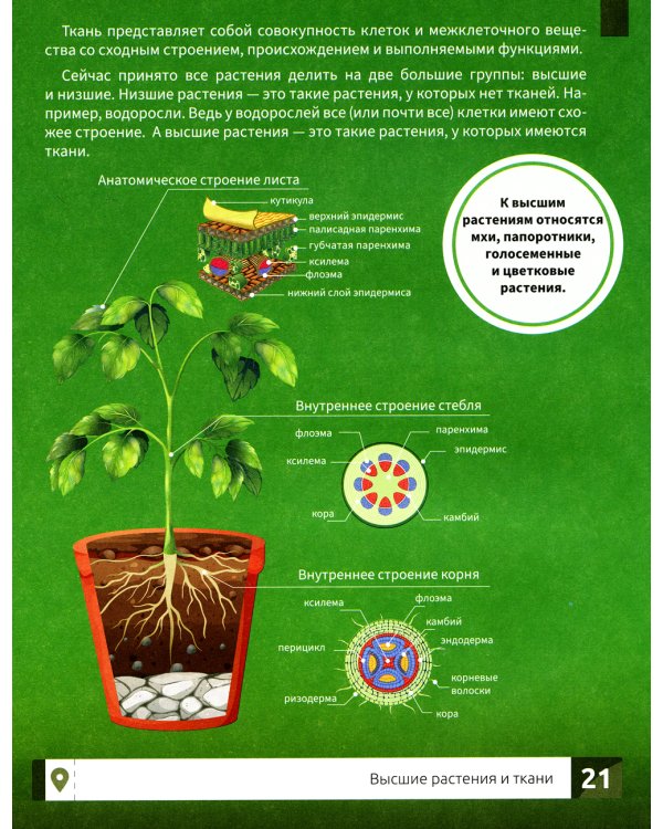 Растения. Самая умная энциклопедия