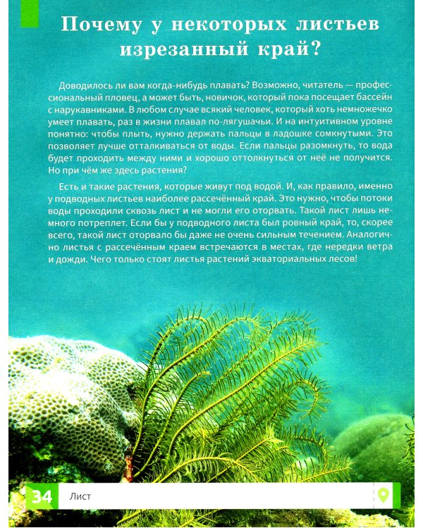 Растения. Самая умная энциклопедия