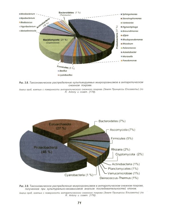 Микробиота земной криосферы