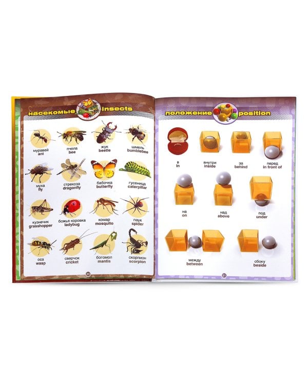 Говорящий англо-русский и русско-английский словарь с картинками; Говорящая ручка (память 8Гб + аудиостикеры): Комплект