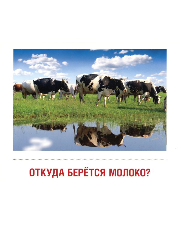 Демонстрационные картинки. Молоко и молочные продукты