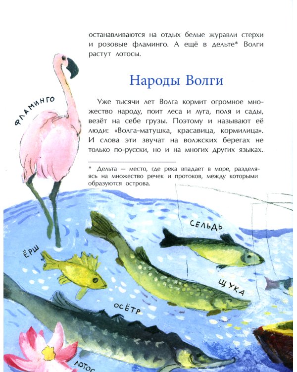 Волга. От арбуза до мамонта. Вып. 67. 4-е изд