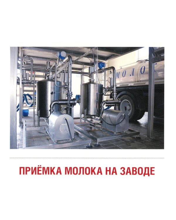 Демонстрационные картинки. Молоко и молочные продукты