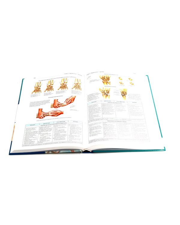 Ортопедическая анатомия Неттера; Нормальная анатомия человека: В 2-х т. (комплект из 3-х книг)