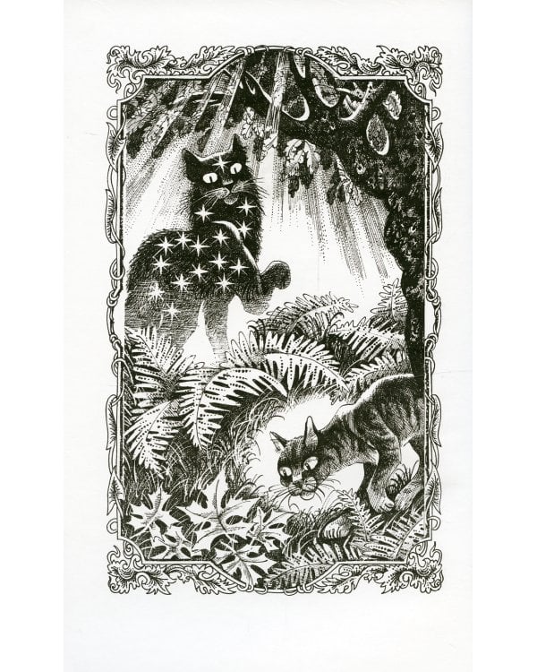 Коты-воители. Гроза и Тень